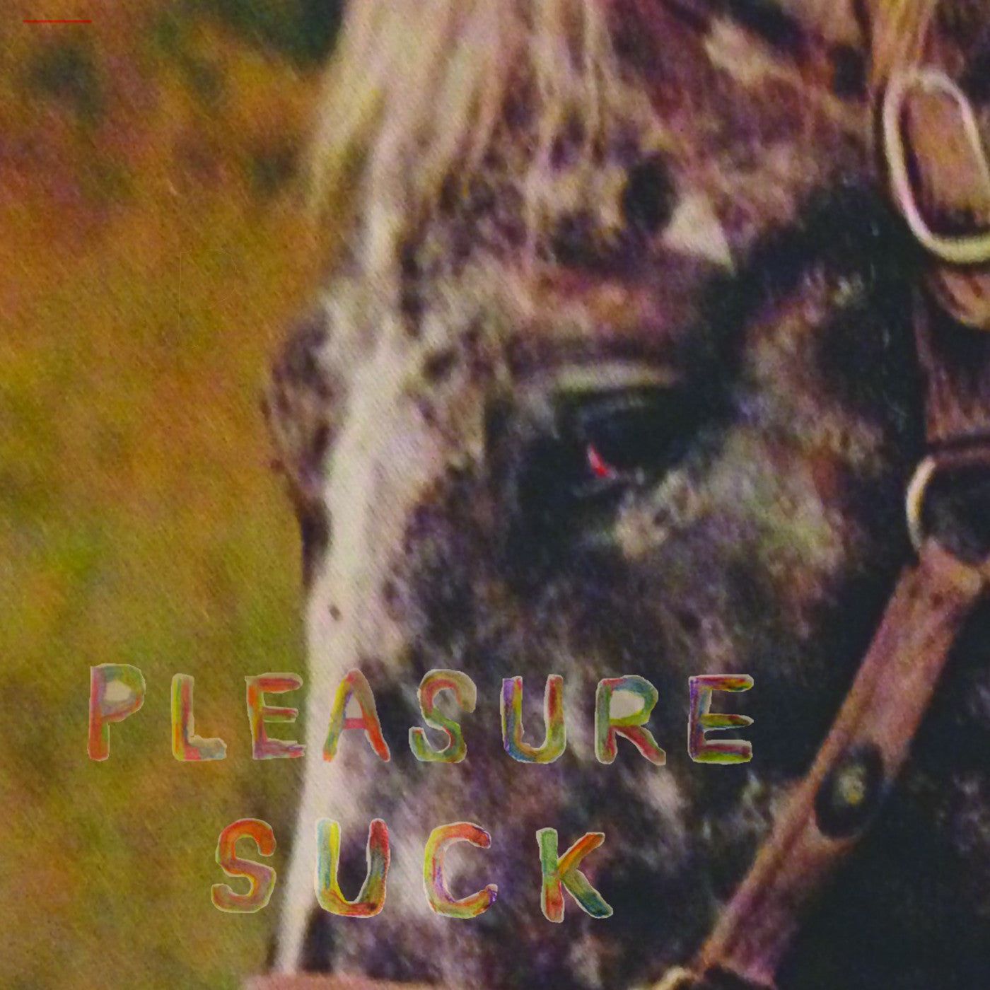 SPIRIT OF THE BEEHIVE - PLEASURE SUCK Vinyl LP