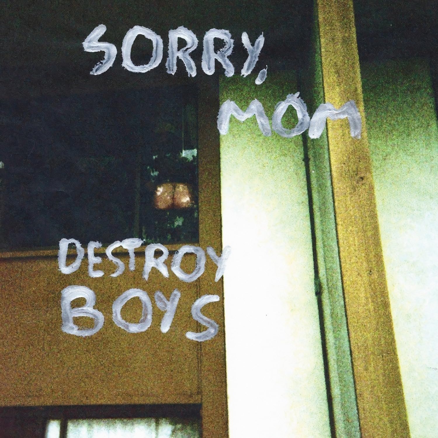 DESTROY BOYS - SORRY, MOM Vinyl LP