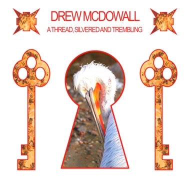 DREW MCDOWALL - A THREAD,SILVERED AND TREMBLING Vinyl LP