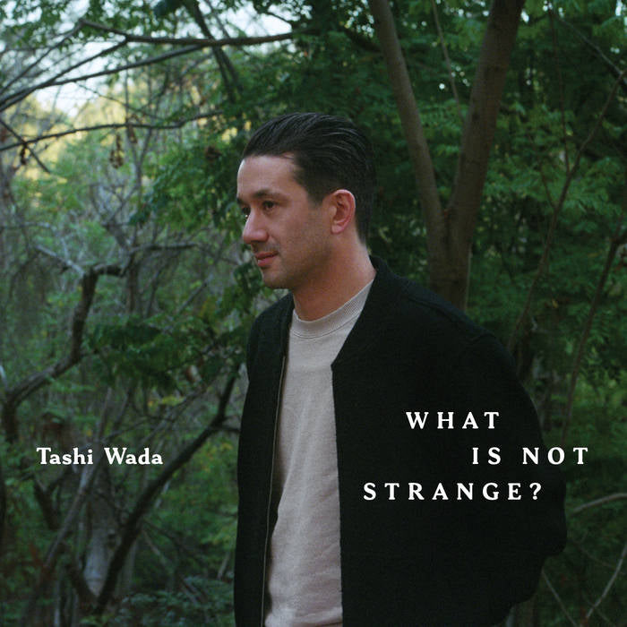 TASHI WADA - WHAT IS NOT STRANGE? Vinyl LP