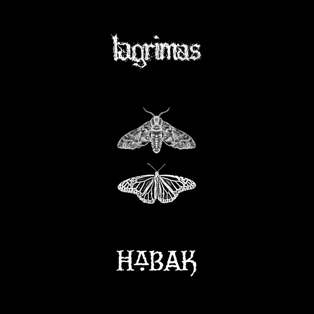 LÁGRIMAS / HABAK - SPLIT Vinyl LP