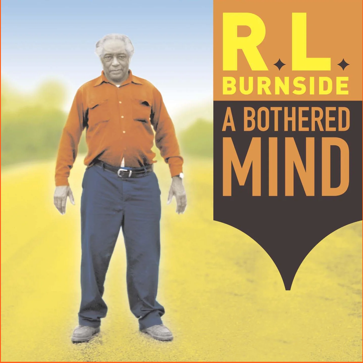 R.L. BURNSIDE - A BOTHERED MIND Vinyl LP