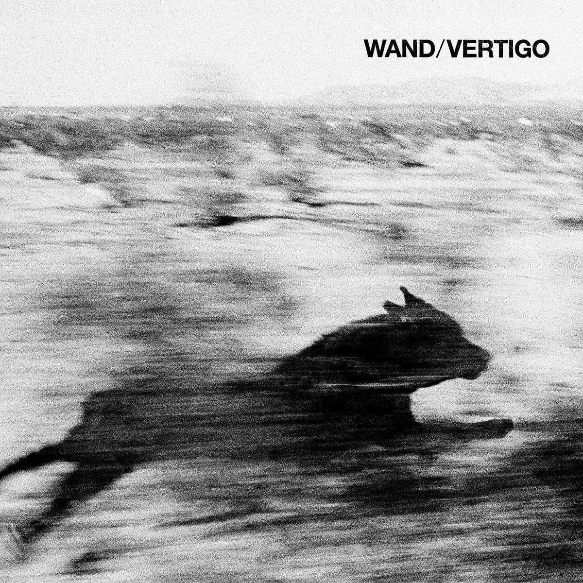 WAND - VERTIGO Vinyl LP