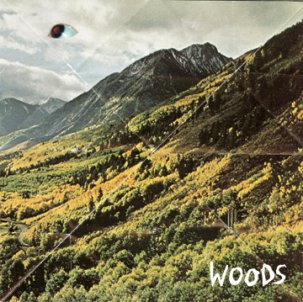 WOODS - SONGS OF SHAME Vinyl LP