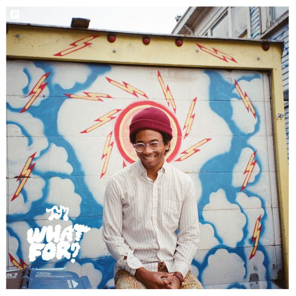 TORO Y MOI - WHAT FOR? Vinyl LP