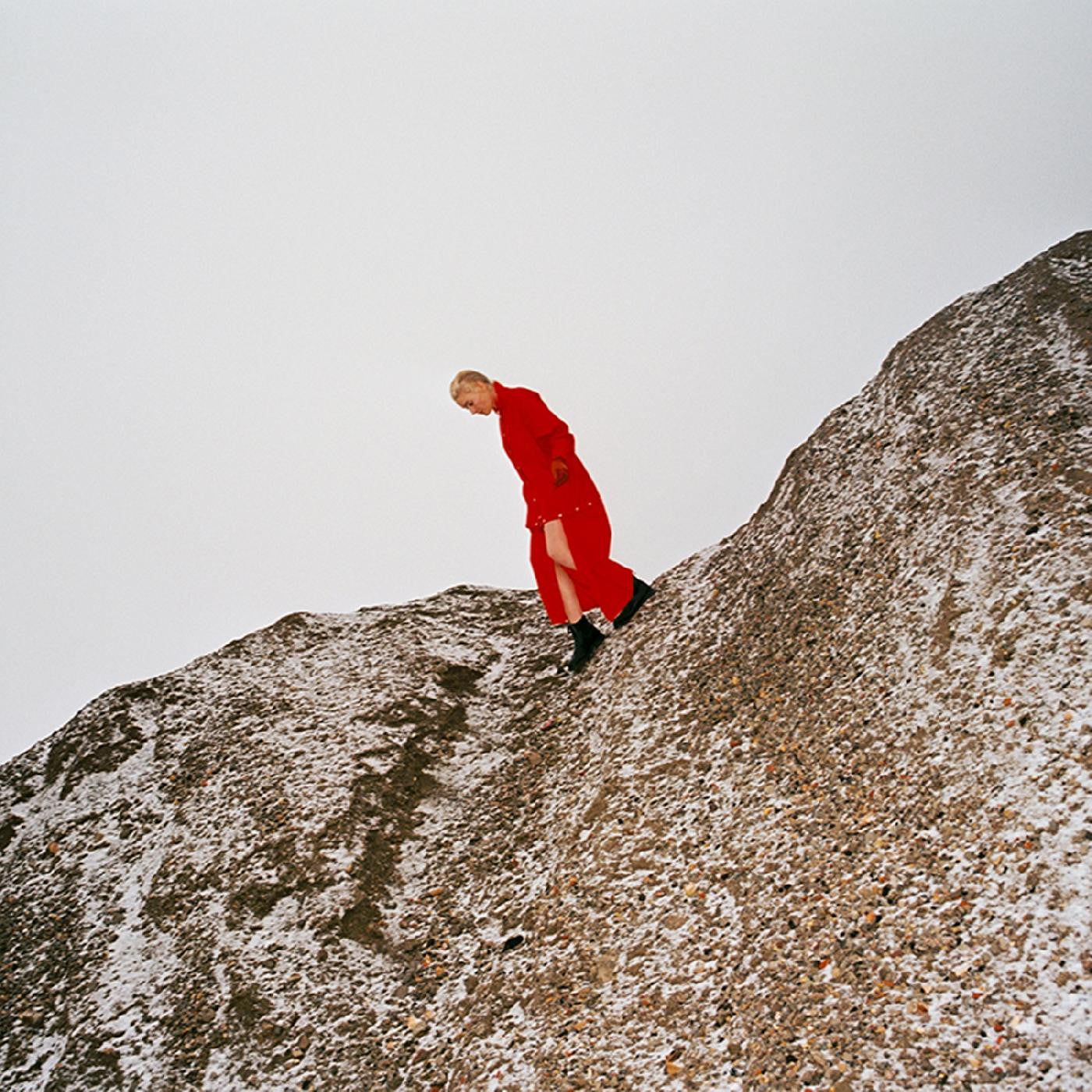 CATE LE BON - REWARD VInyl LP