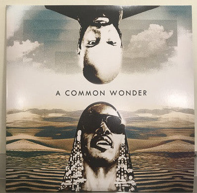 AMERIGO GAZAWAY - A COMMON WONDER LP