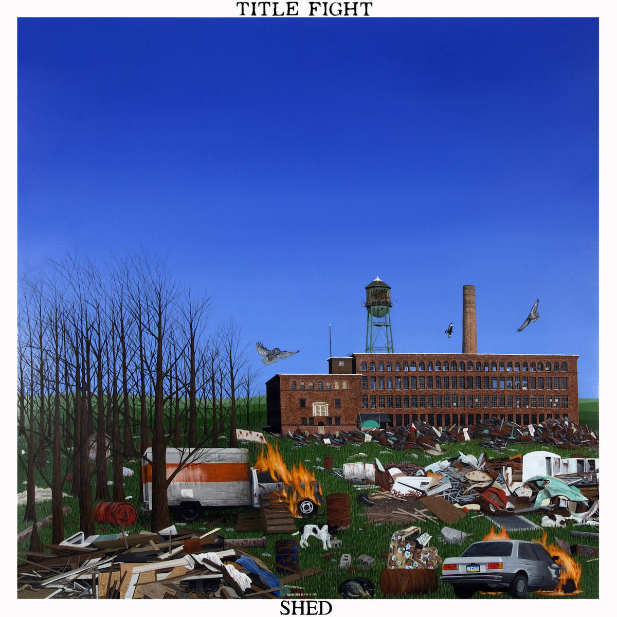 TITLE FIGHT - SHED CD